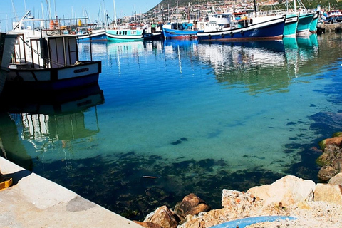 Le Cap : tour panoramique de Houtbay, île aux phoques, monde des oiseaux.