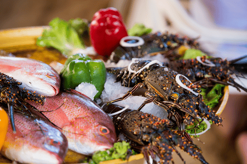 Gastronomia e bebidas