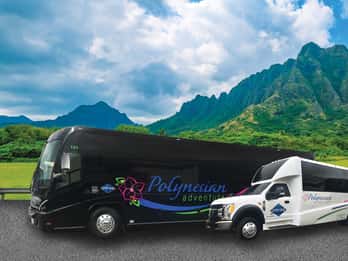 Oahu: Pearl Harbor, USS Arizona & Highlights der Stadt Tour Oahu: Pearl Harbor, USS Arizona & Highlights der Stadt Tour