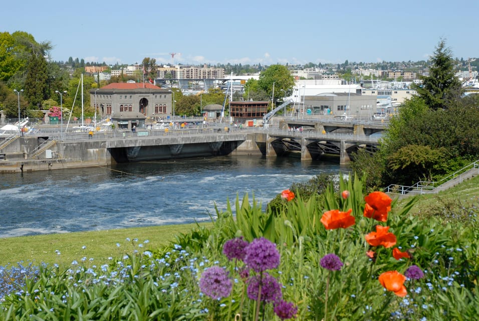 Seattle, tour de ville de 3 heures en bus - Hizvo