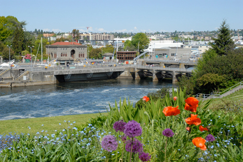 Seattle: City Highlights Tour Tour Starting from Meeting Point in Downtown Seattle