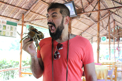 Ho Chi Minh Ville : Réserve de biosphère de Can Gio en bateau rapideOption de point de rencontre