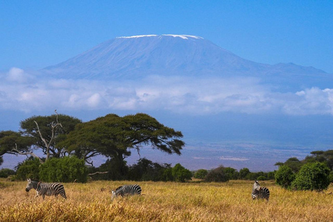 Nairobi: tour privato di 2 giorni del Parco Nazionale Amboseli