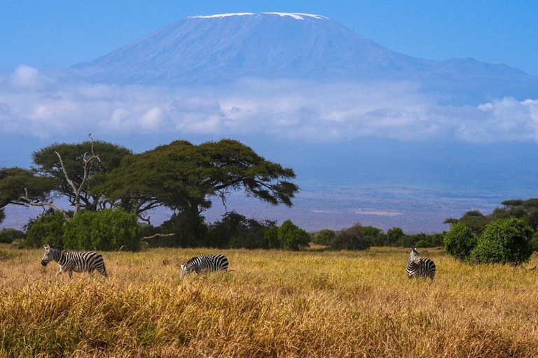 Nairobi: tour privato di 2 giorni del Parco Nazionale Amboseli