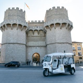 Valencia: privé panoramische tuktuk-tour