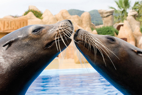 Palafolls: Marineland Dolphinarium and Water Park Tickets