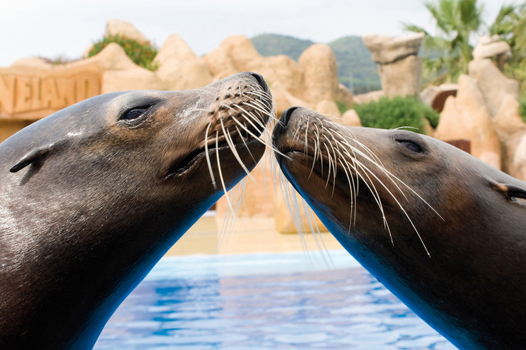 Palafolls: Marineland Dolphinarium and Water Park Tickets