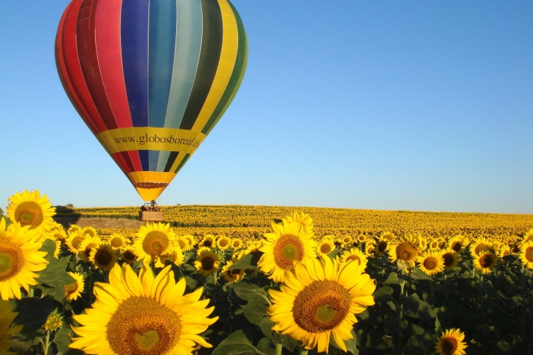 Segovia: ballonvaart met optionele ophaalservice
