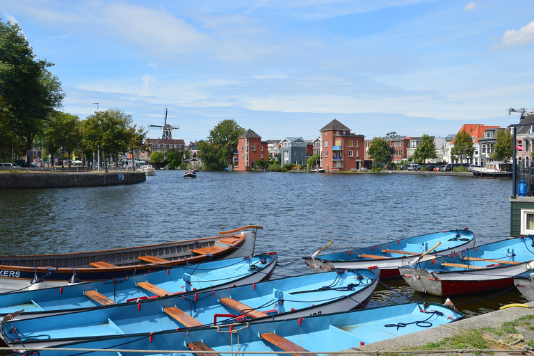 Da Amsterdam: gita giornaliera privata ad Haarlem