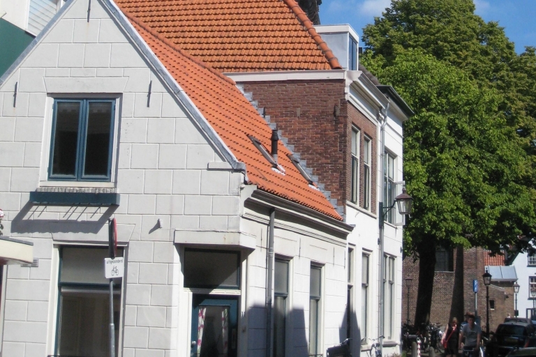 Au départ d'Amsterdam : Excursion privée d'une journée à Haarlem
