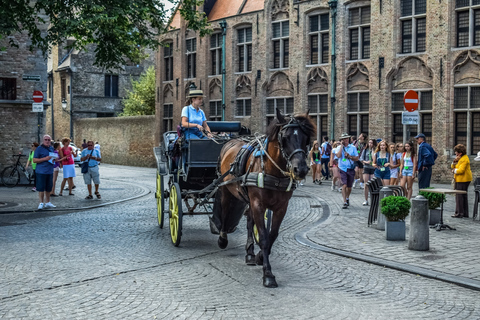 Z Amsterdamu: Prywatna wycieczka krajoznawcza do Brugii