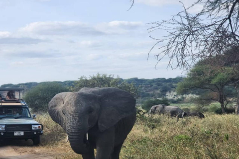 Ngorongoro & Manyara Explorer with Cycling 3-Day Scenic Safari & Cycling Escape