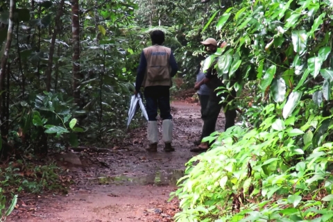 Bentota: tour de 2 días por el elefante, la selva tropical y el pueblo