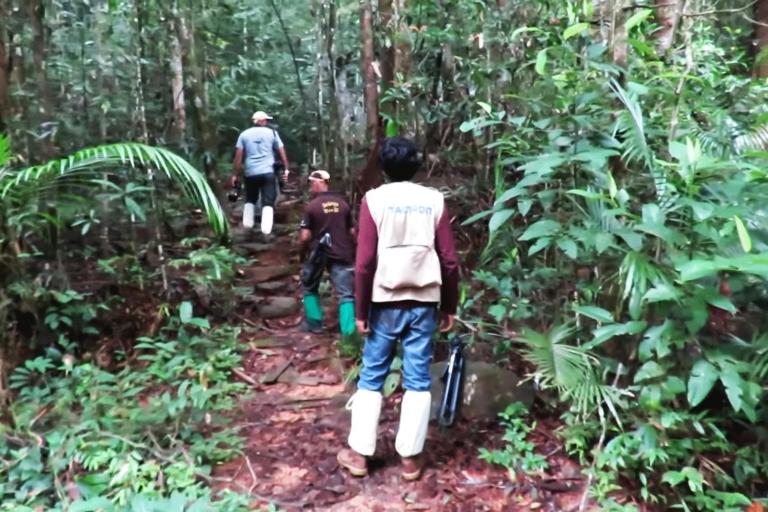 Bentota: tour de 2 días por el elefante, la selva tropical y el pueblo