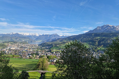 Lucerne : visite de la campagne en petit groupe avec dégustation de fromages