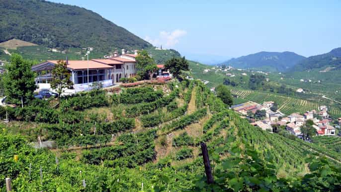venice fullday 2winery prosecco tour
