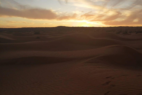 Ksar Ghilane Oasis: Camel Ride, Swim &amp; Sunset on the Dunes