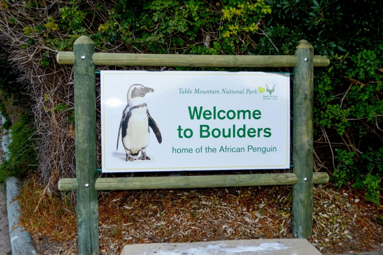 Kap der Guten Hoffnung: Sightseeing und Tour zu afrikanischen Pinguinen
