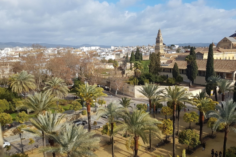 Sevilla: traslado a Córdoba