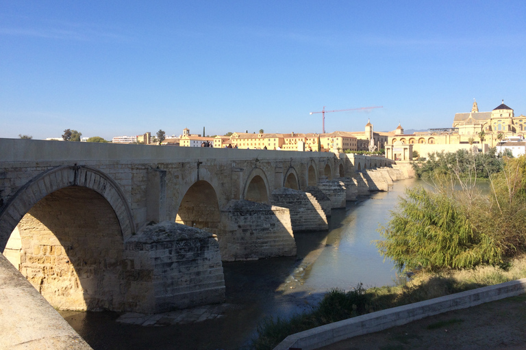 Sevilla: traslado a Córdoba