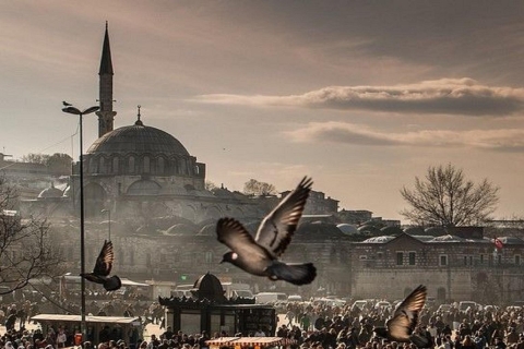 Istanbul : visite guidée privée de 1, 2 ou 3 joursVisite guidée privée d'une journée