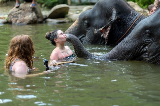Visit Khao Lak Elephant Care Experience in Khao Lak