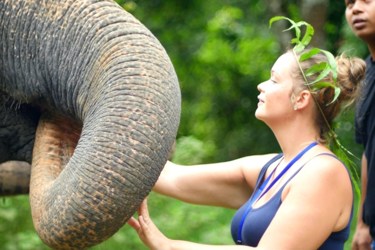 Khao Lak: Elephant Care Experience Khao Lak : Elephant Care Experience