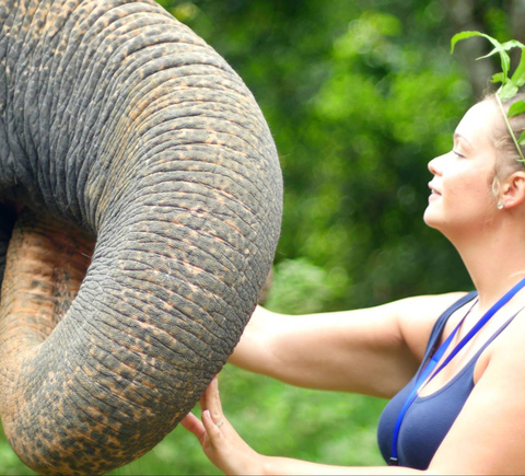 Safaris & wildlife activities