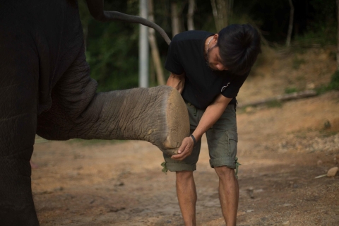 Khao Lak: Elephant Care Experience Khao Lak : Elephant Care Experience