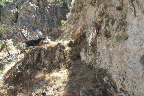 Chania: Imbros Gorge and Libyan Sea Day Tour Imbros from Kalyves and Almyrida