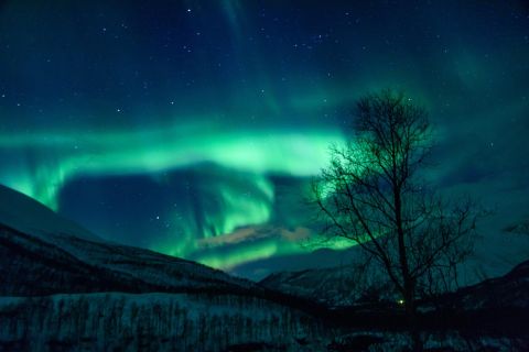 From Tromsø: Northern Lights Guided Bus Chase