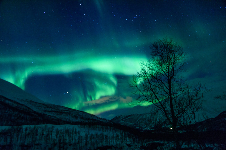 De Tromsø: Perseguição de ônibus guiada pela aurora borealDe Tromsø: Tour Guiado de Ônibus em Busca da Aurora Boreal