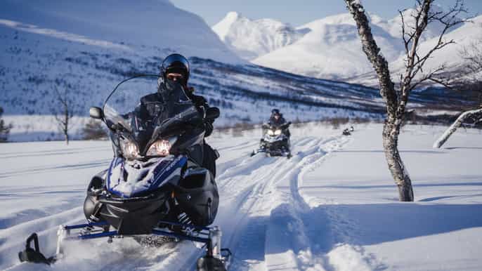 tromsø wilderness snowmobiling ice domes reindeer visit