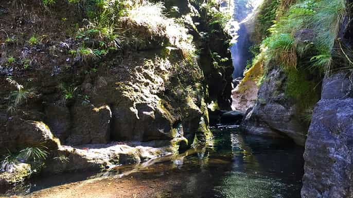 madeira passeggiata guidata privata caldeirão do inferno