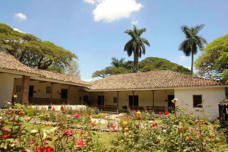 Sugar Cane Museum and Hacienda Paraíso Day Tour GetYourGuide