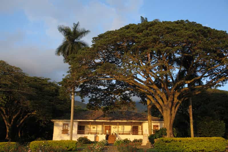 Sugar Cane Museum and Hacienda Paraíso Day Tour GetYourGuide