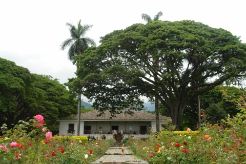 Zuckerrohrmuseum und Hacienda Paraíso Tagestour