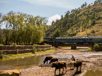 Von Ollantaytambo: Aguas Calientes Hin- und Rückfahrt Von Ollantaytambo: Aguas Calientes Hin- und Rückfahrt