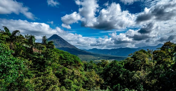 Arenal Hanging Bridges Tour, Guided and Transportation
