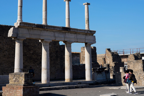 From Sorrento: Pompeii Skip-the-Line, Train Tkt & Tour