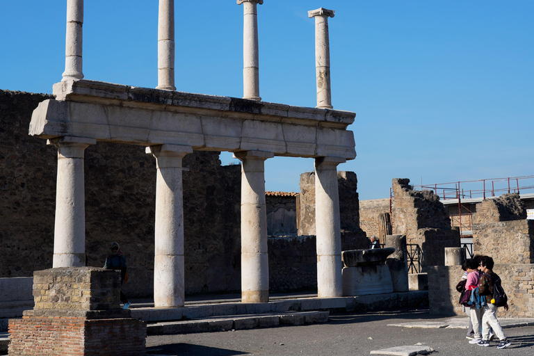 From Sorrento: Pompeii Skip-the-Line, Train Tkt & Tour