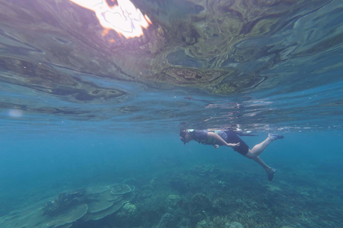El Nido Combo Tour C + D: Single Booking, Separate Days