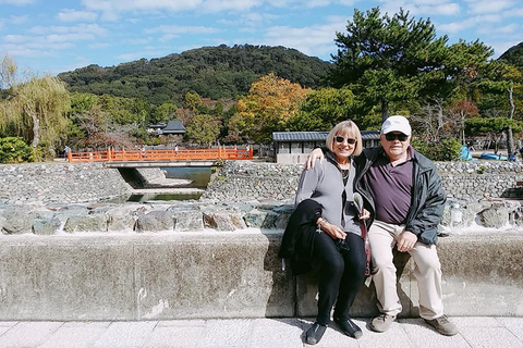 Visite du thé vert au matcha de Kyoto