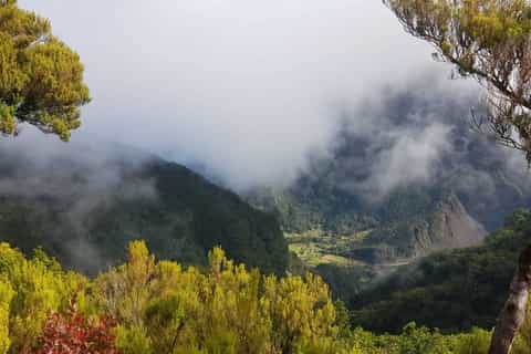 Madeira: tour escursionistico nella foresta delle fiabe