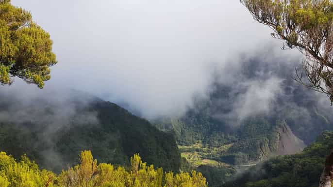 madeira tour escursionistico nella foresta delle fiabe