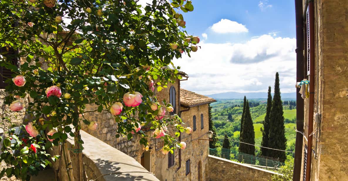 Vanuit Florence: dagtour Toscane met optionele lunch en wijn