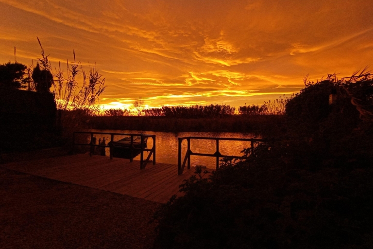 Von Valencia aus: Albufera-Naturpark mit Sonnenuntergangserlebnis