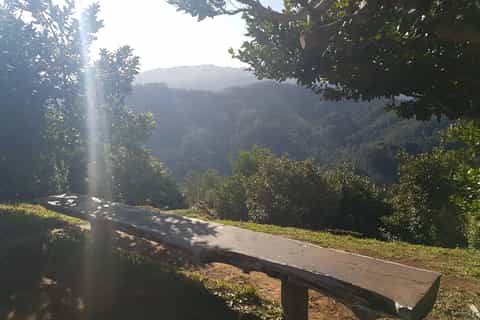 Madeira: Private Vereda das Funduras Walk