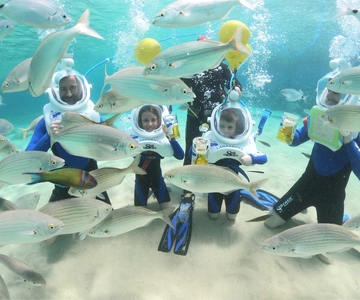 Costa Teguise: Underwater Sea Trek-ervaring