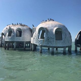 Florida: Ten Thousand Islands Shelling, Dolphins & Dome Home